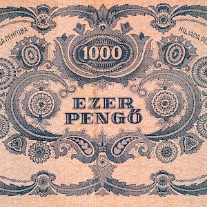 Zysko Sergii/Shutterstock