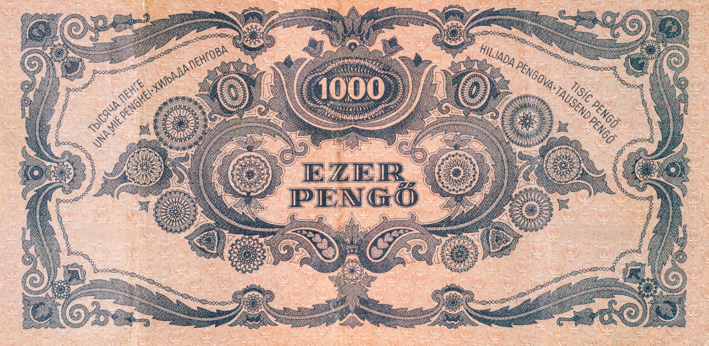 Zysko Sergii/Shutterstock