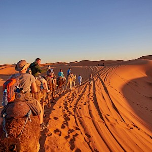 Ryzhkov Oleksandr / Shutterstock