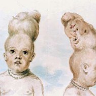 Wikimedia Commons