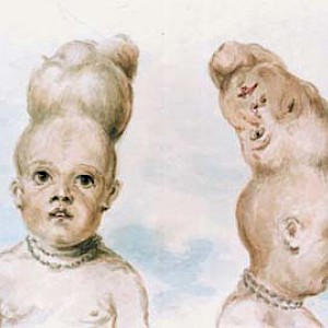 Wikimedia Commons