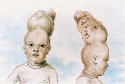Wikimedia Commons