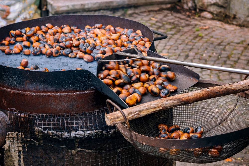 znatalias / Shutterstock