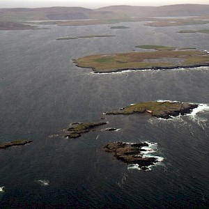 Wikimedia Commons