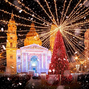 Balate.Dorin/Shutterstock.com