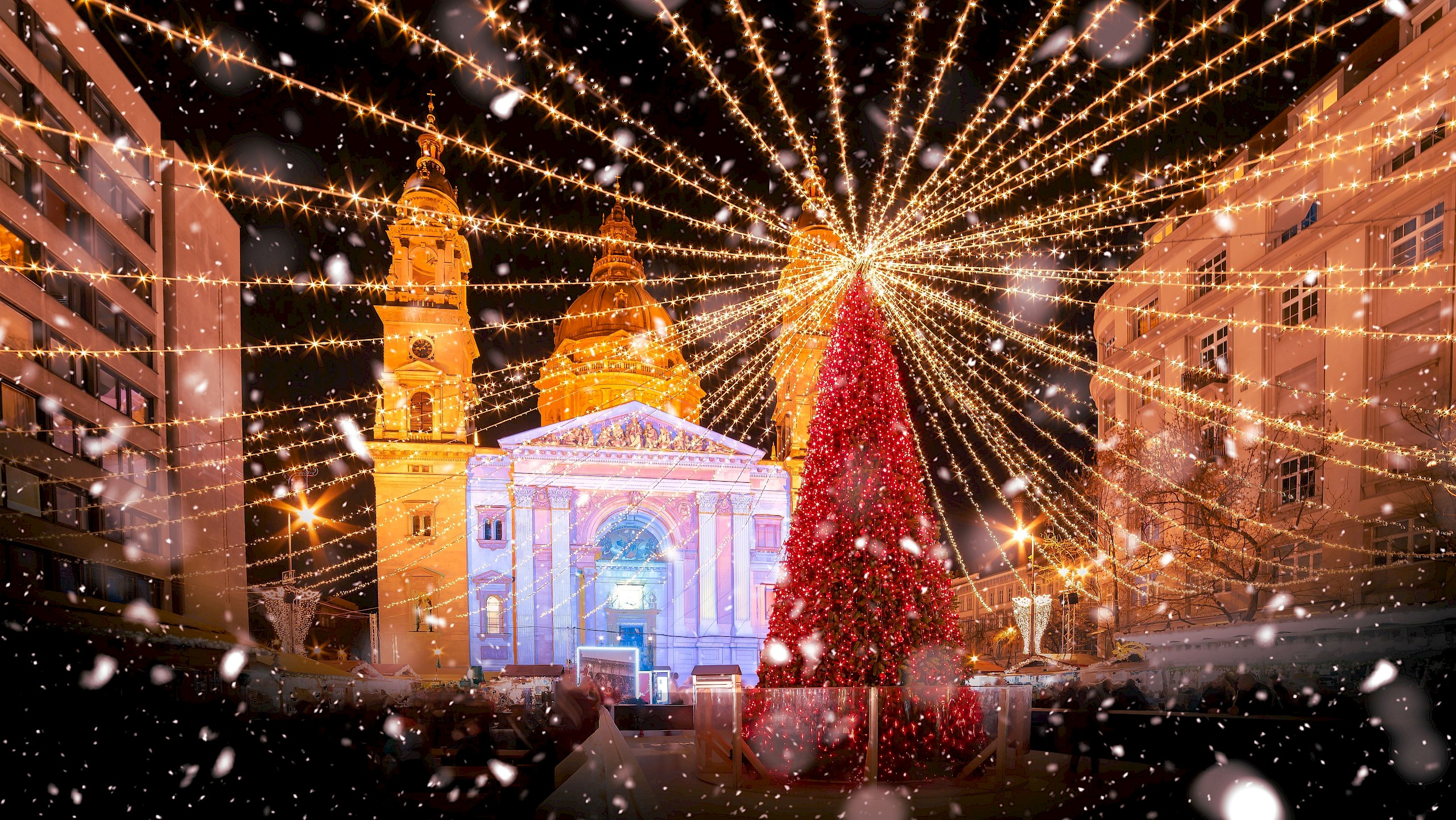 Balate.Dorin/Shutterstock.com