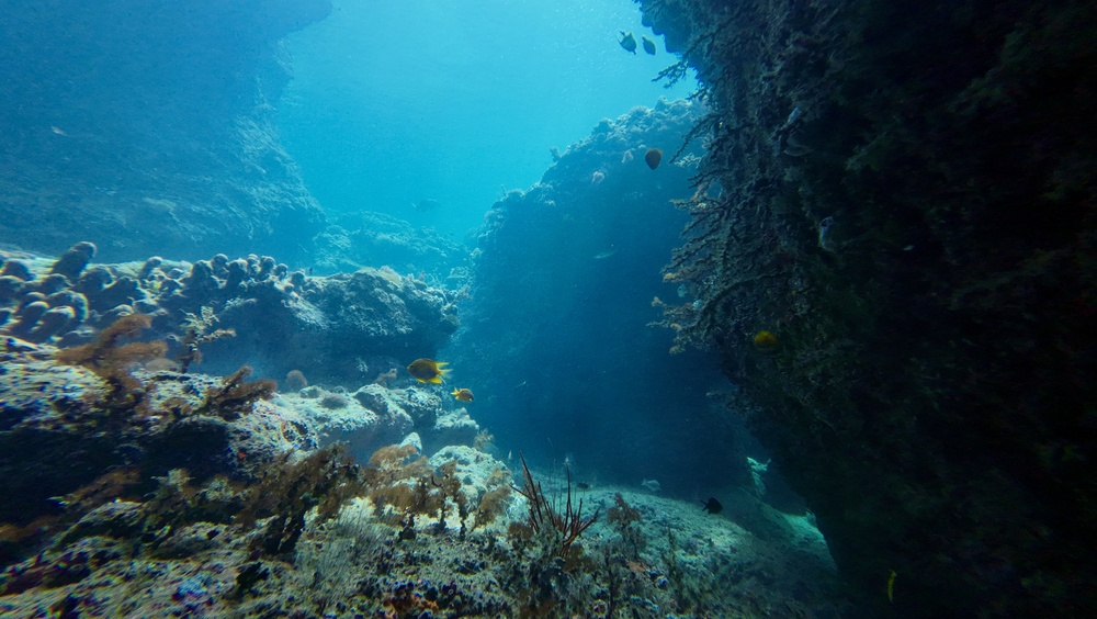 Diman_Diver/Shutterstock