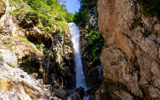 Christopher Moswitzer / Shutterstock