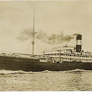 Wikimedia Commons