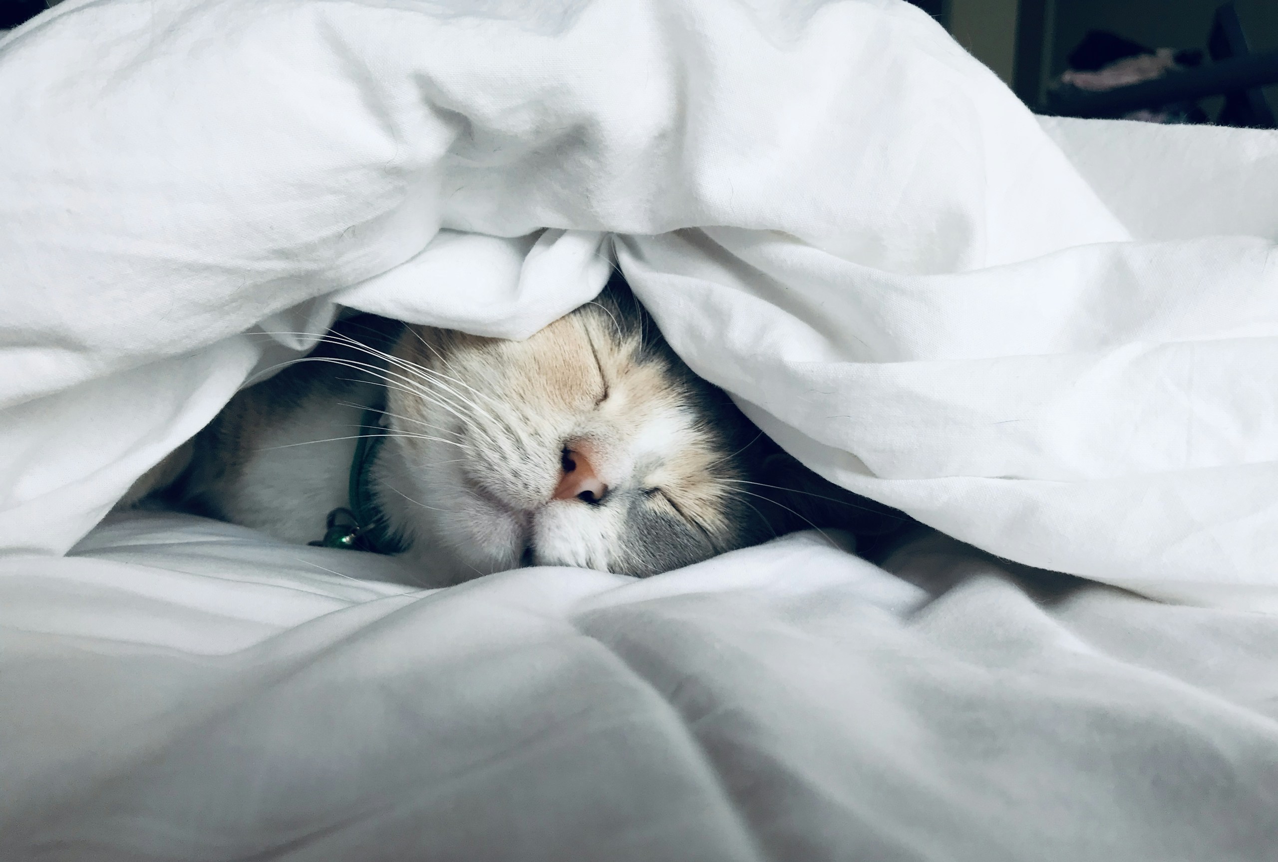 7 egyszerű módszer, amivel enyhíthetjük a téli depresszió tüneteit