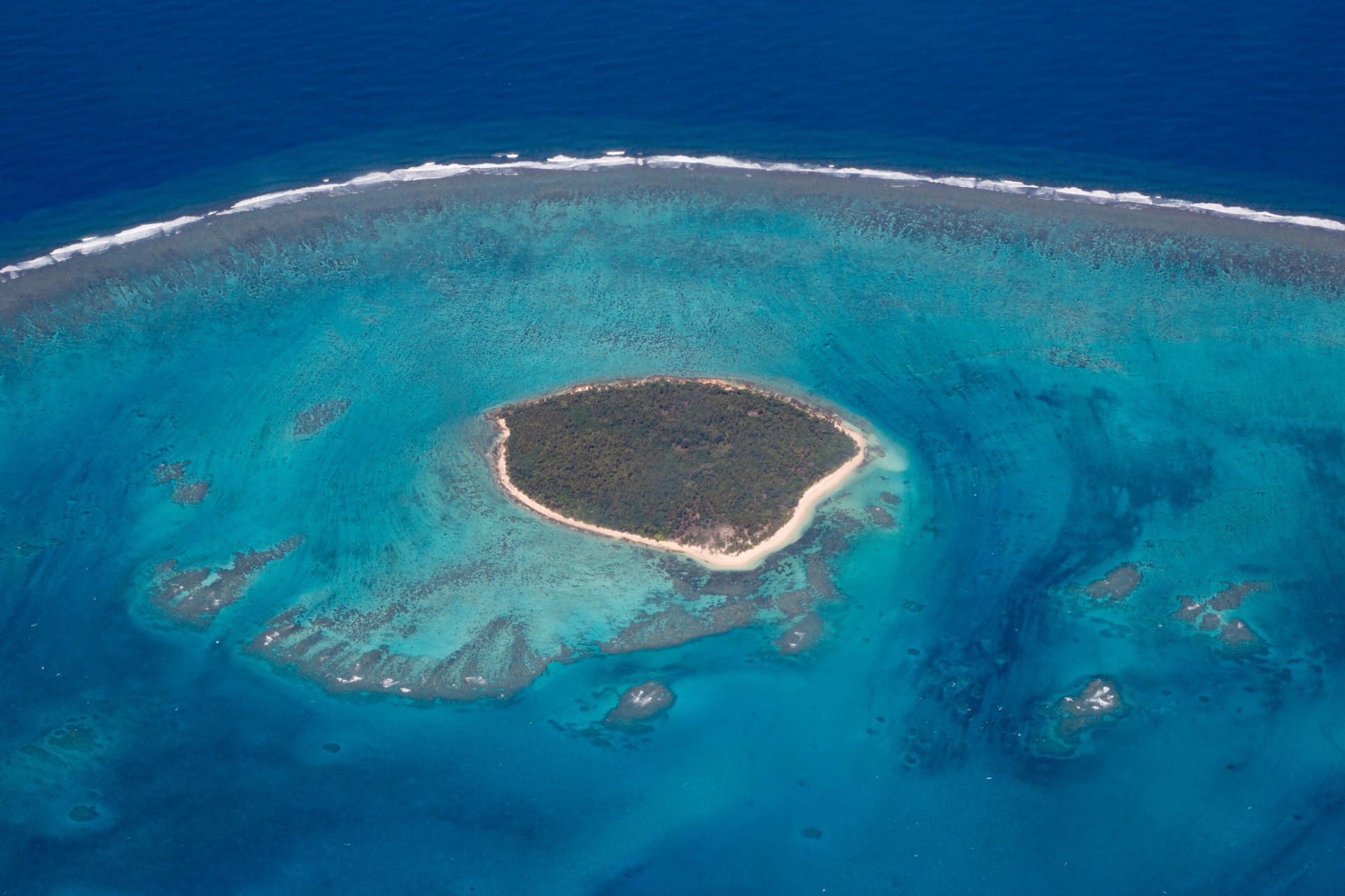 Wikimedia Commons
