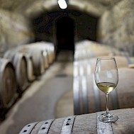 Fot&oacute;: Shutterstock