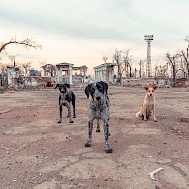 Fot&oacute;: Shutterstock