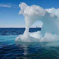 Fot&oacute;: Alex Ingle / Schmidt Ocean Institute (CC BY-NC-SA 4.0)