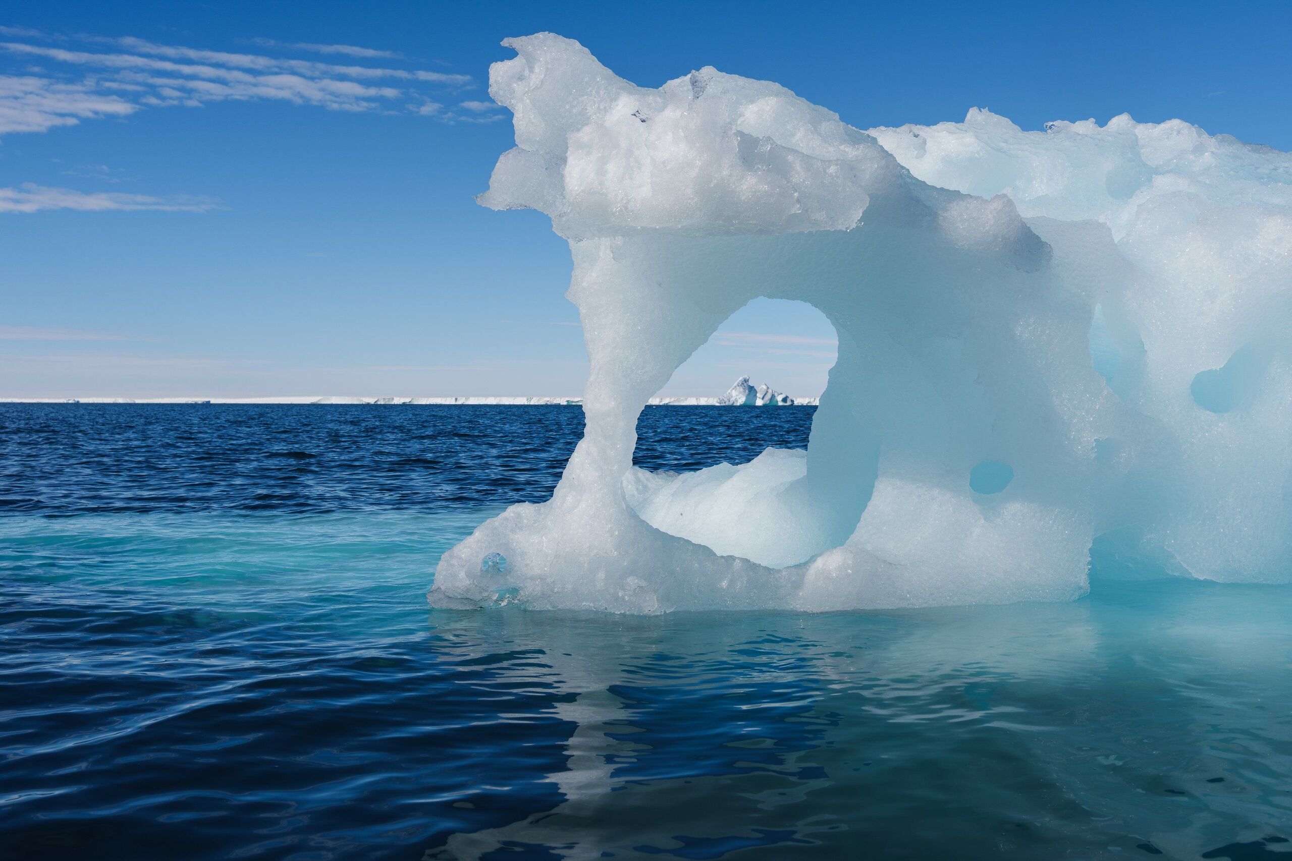 Fotó: Alex Ingle / Schmidt Ocean Institute (CC BY-NC-SA 4.0)