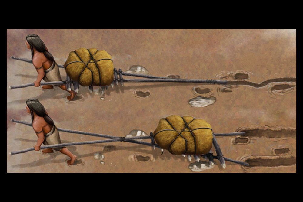 Fotó: Gabriel Ugueto/Bournemouth University