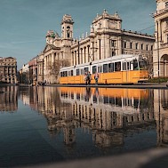 Fot&oacute;: Shutterstock