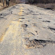 Fot&oacute;: Shutterstock