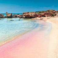 Fot&oacute;: Shutterstock