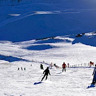 Fot&oacute;: Shutterstock