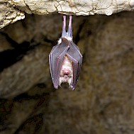 Fot&oacute;: Shutterstock