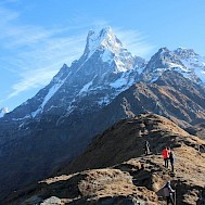 Fot&oacute;: Shutterstock