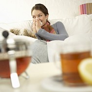 Fot&oacute;: Shutterstock