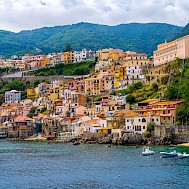 Fot&oacute;: Shutterstock