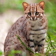 Fot&oacute;: Shutterstock