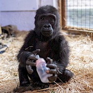 Fot&oacute;: Mehmet Murat Onel/Anadolu via Getty Images