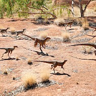 Fot&oacute;: Shutterstock