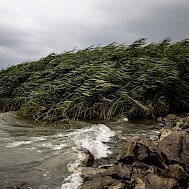 Fot&oacute;: Shutterstock