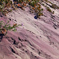 Fot&oacute;: Shutterstock