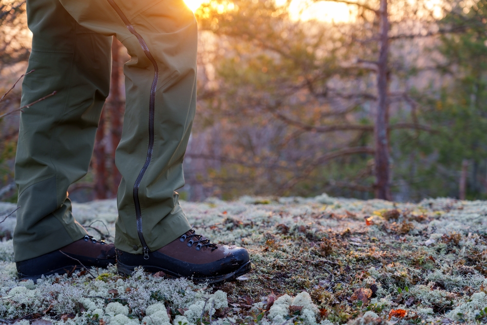 Shutterstock / Michaelvbg