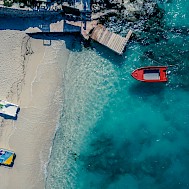 Photo by Polina Rytova on Unsplash