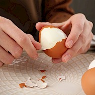 Fot&oacute;: Shutterstock