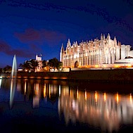 Photo by David Vives on Unsplash