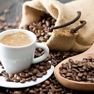 Fot&oacute;: Shutterstock 