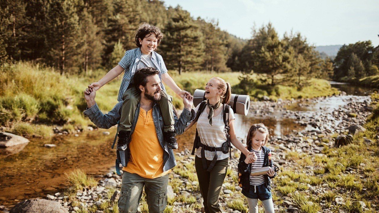 Fotó: Alfa Biztosító