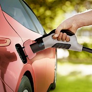 Fot&oacute;: Shutterstock