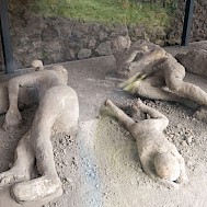 Fot&oacute;: Shutterstock