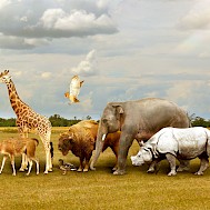 Fot&oacute;: Shutterstock