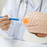 Fot&oacute;: Shutterstock