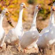 Photo by Kota Kikuchi on Unsplash