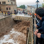 Fot&oacute;: Shutterstock