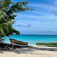 Fot&oacute;: Shutterstock 