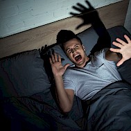 Fot&oacute;: Shutterstock