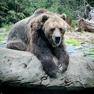 Photo by Adam Knights on Unsplash