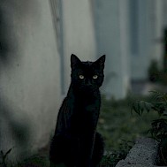 Photo by Tolga Ahmetler on Unsplash