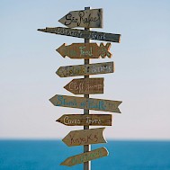 Photo by Marten Bjork on Unsplash